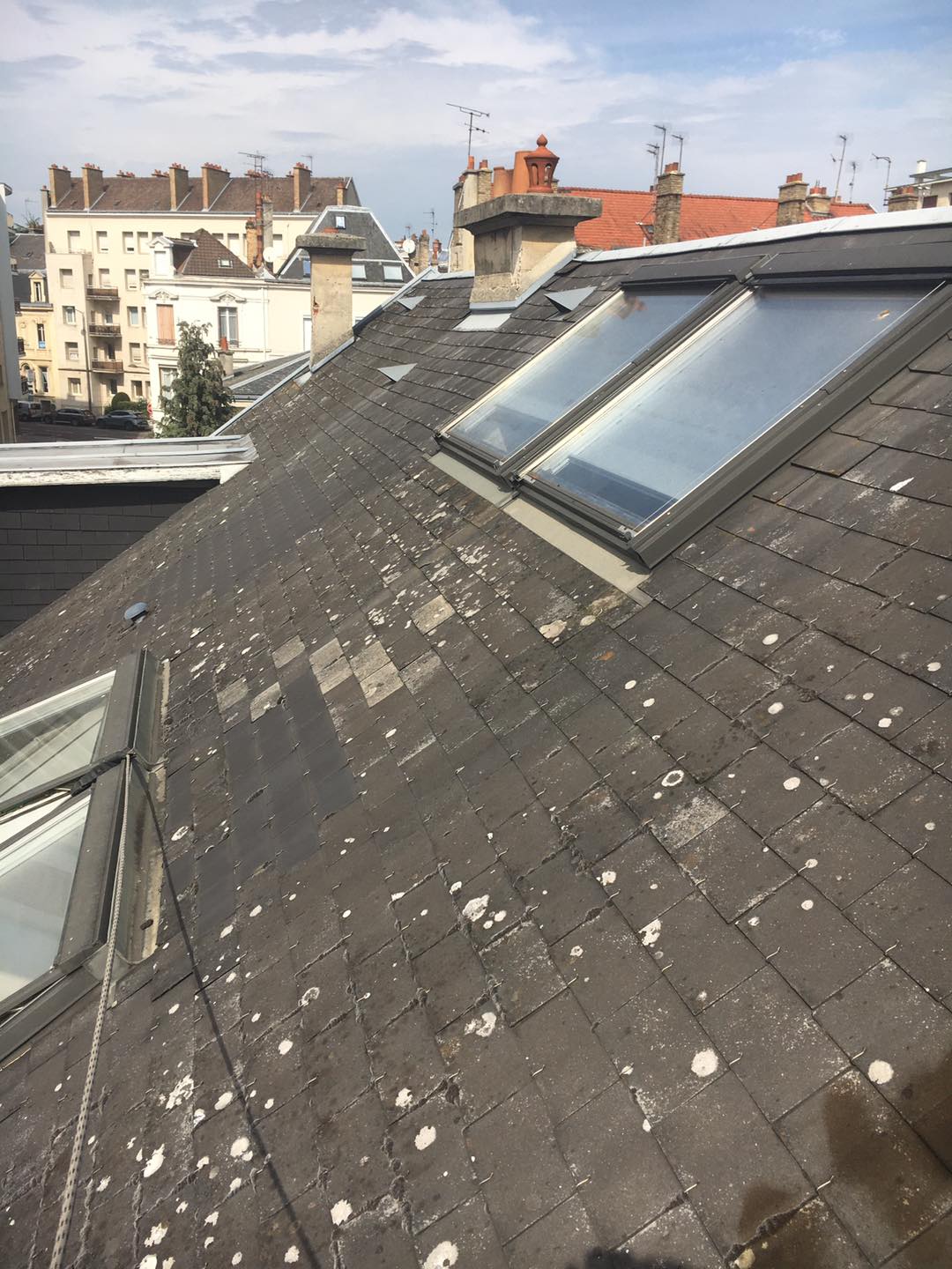 Démoussage-corde-reims