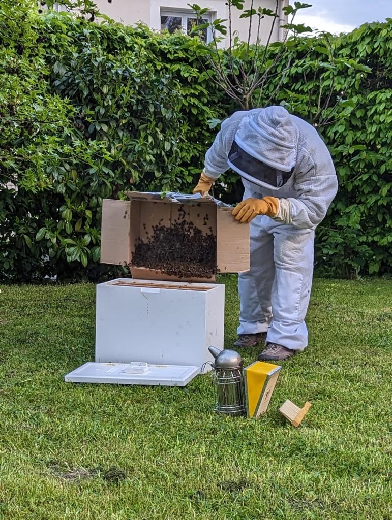 Cordiste-et-apiculteur-récupération-essaim-hauteur